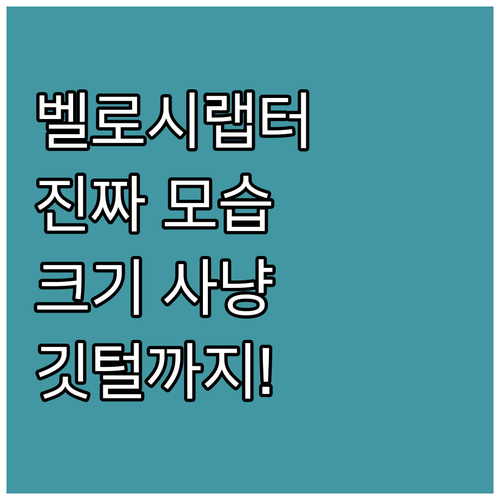 벨로시랩터의 진짜 모습: 크기, 사냥