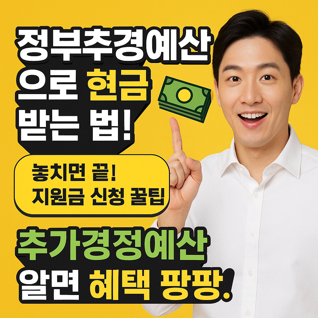 정부추경예산, 추가경정예산