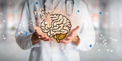 뇌 건강