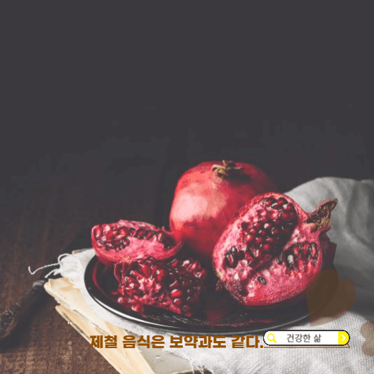 11월 제철과일