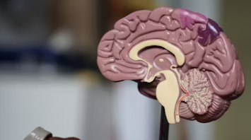 치매 초기증상 8가지 