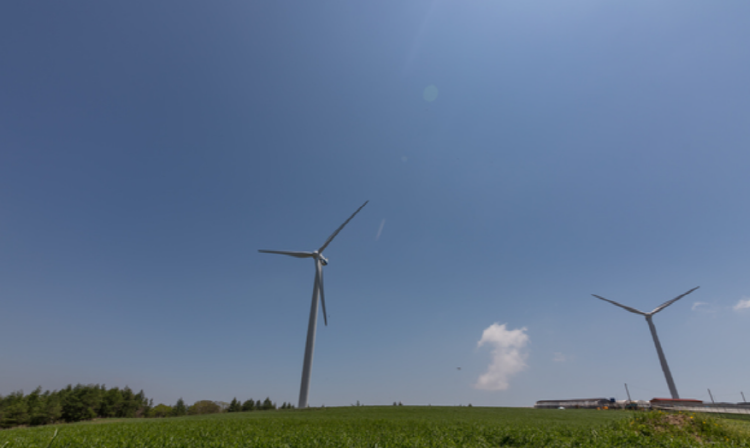 청옥산 육백마지기