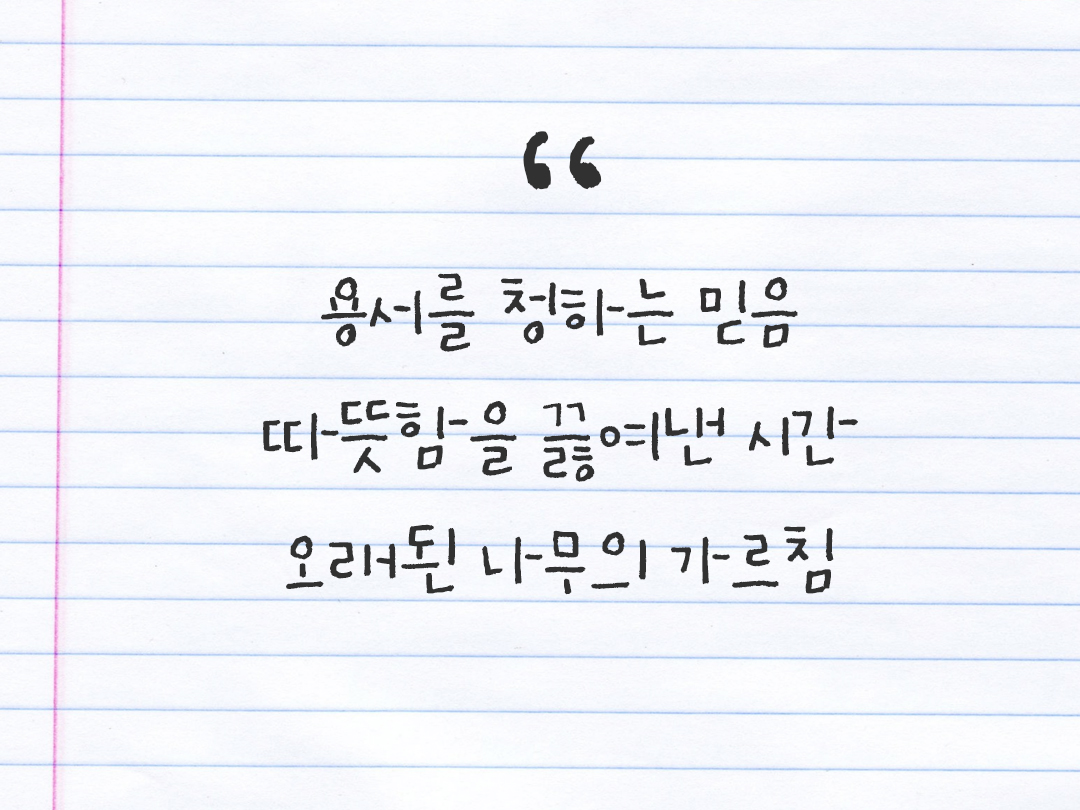 25년 11월 26일 오늘 내 마음 기록하기 감사노트, 감사를 통해 발견한 행복, 오늘 감사한 순간들 by 피어나네 감사일기