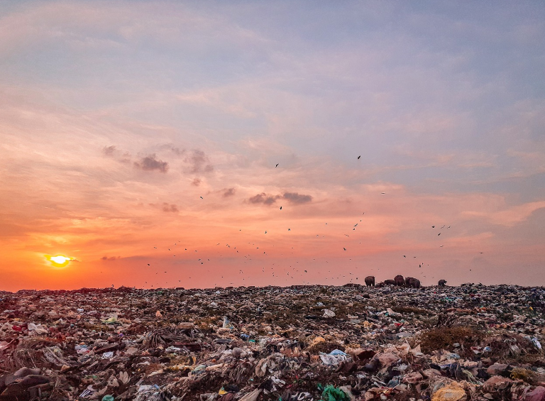 우리가 지켜야 할 지구 환경오염을 줄이는 작은 선택