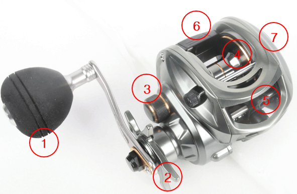 베이트릴 구조와 명칭