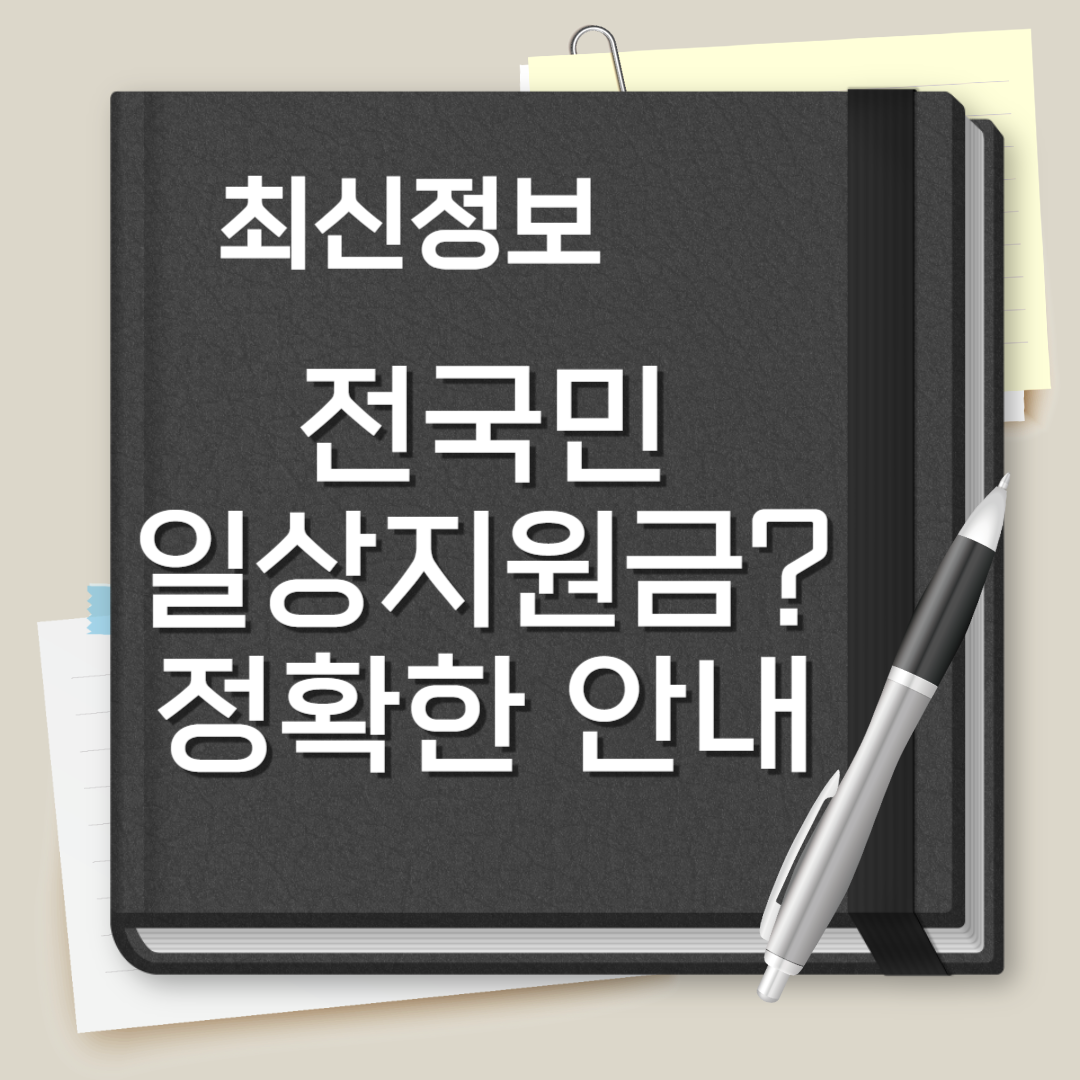 전국민 일상지원금