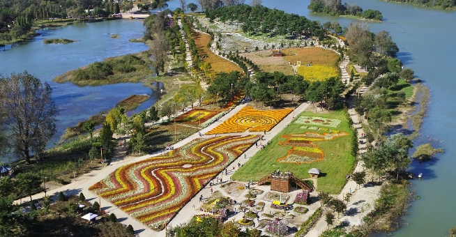 봄꽃 축제 당일여행