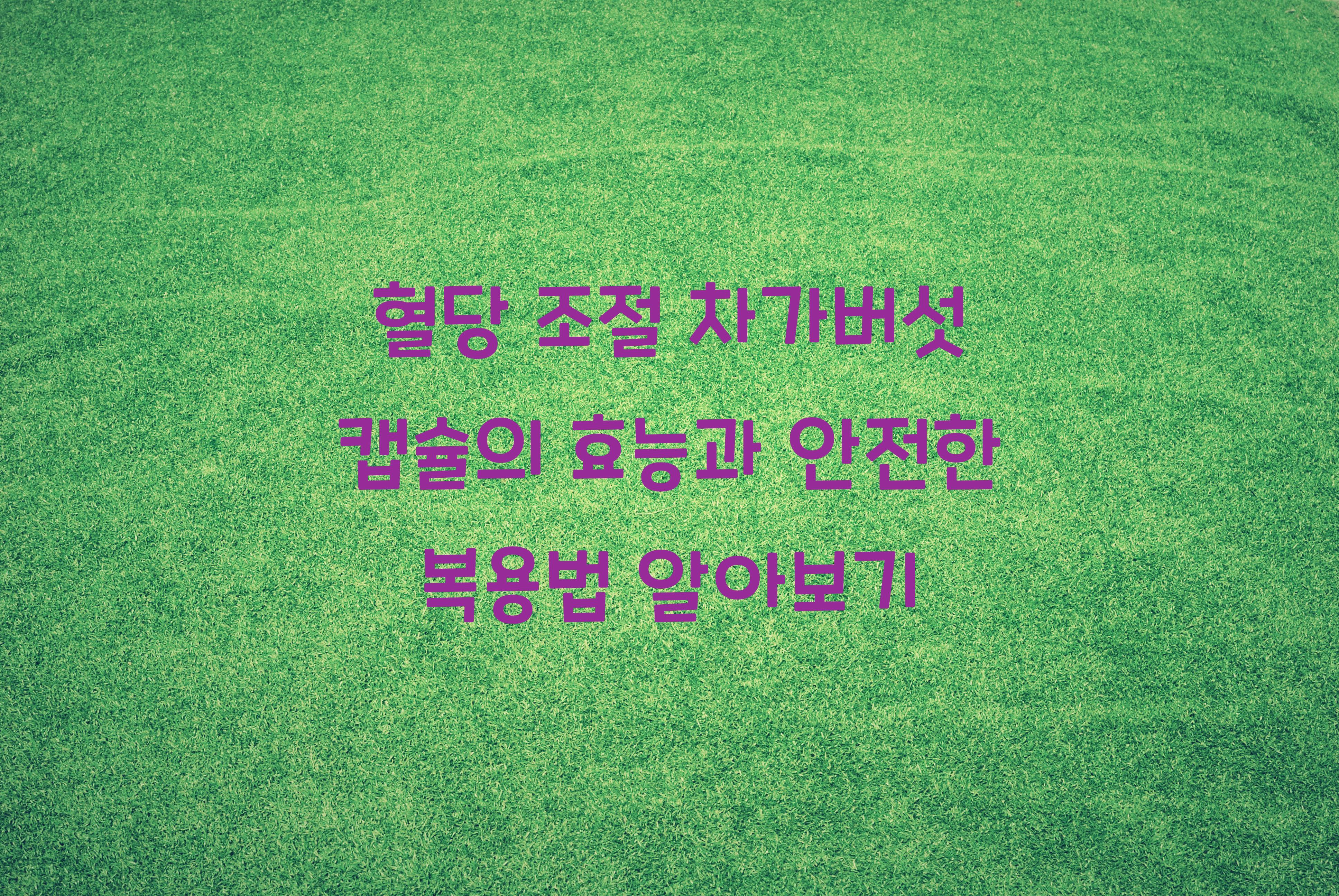 혈당 조절 차가버섯 캡슐