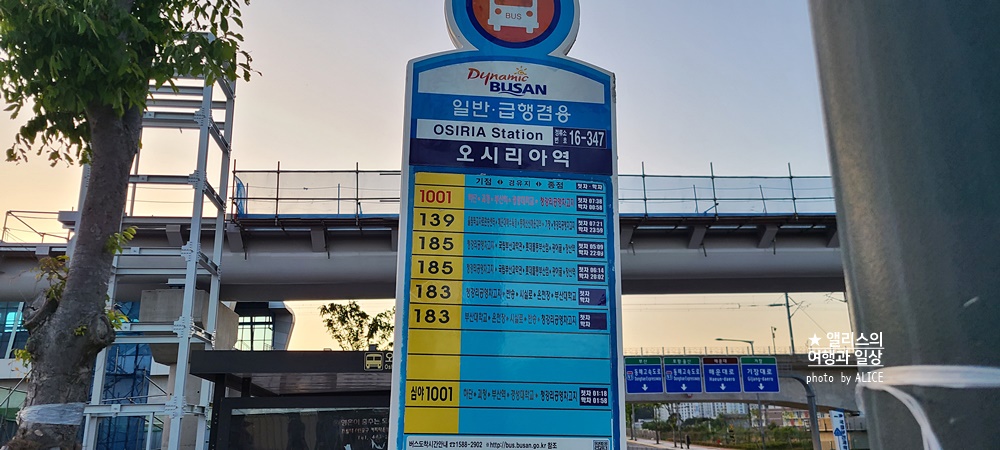 부산 기장 롯데월드 대중교통 가는 법