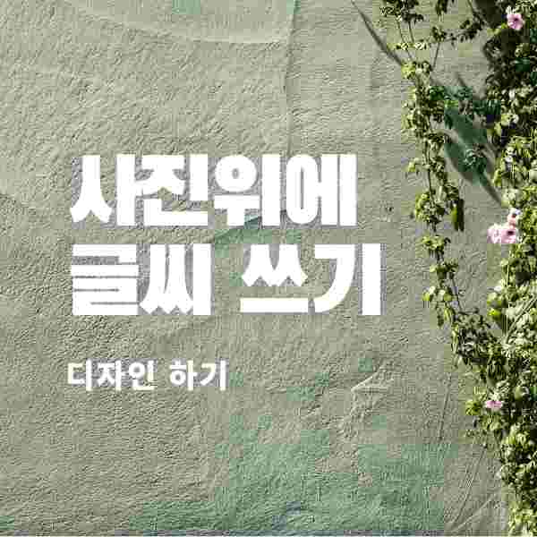 사진위에 글씨 쓰기 캔바로 사진 안에 글씨 넣기