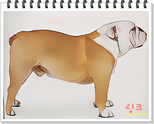 안녕soni