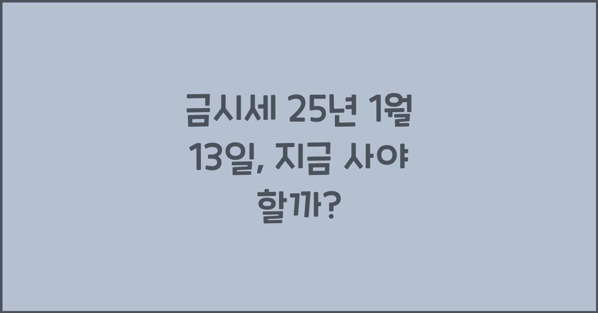 금시세 25년 1월 13일