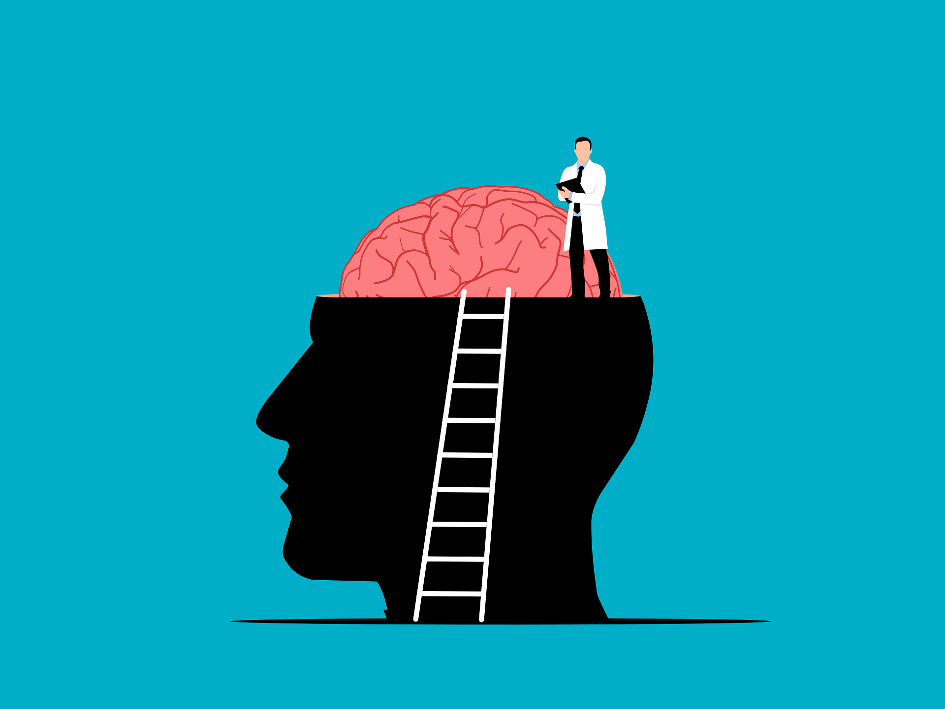 기억력 감퇴 원인과 회복 방법｜뇌 건강을 지키는 과학적 접근법