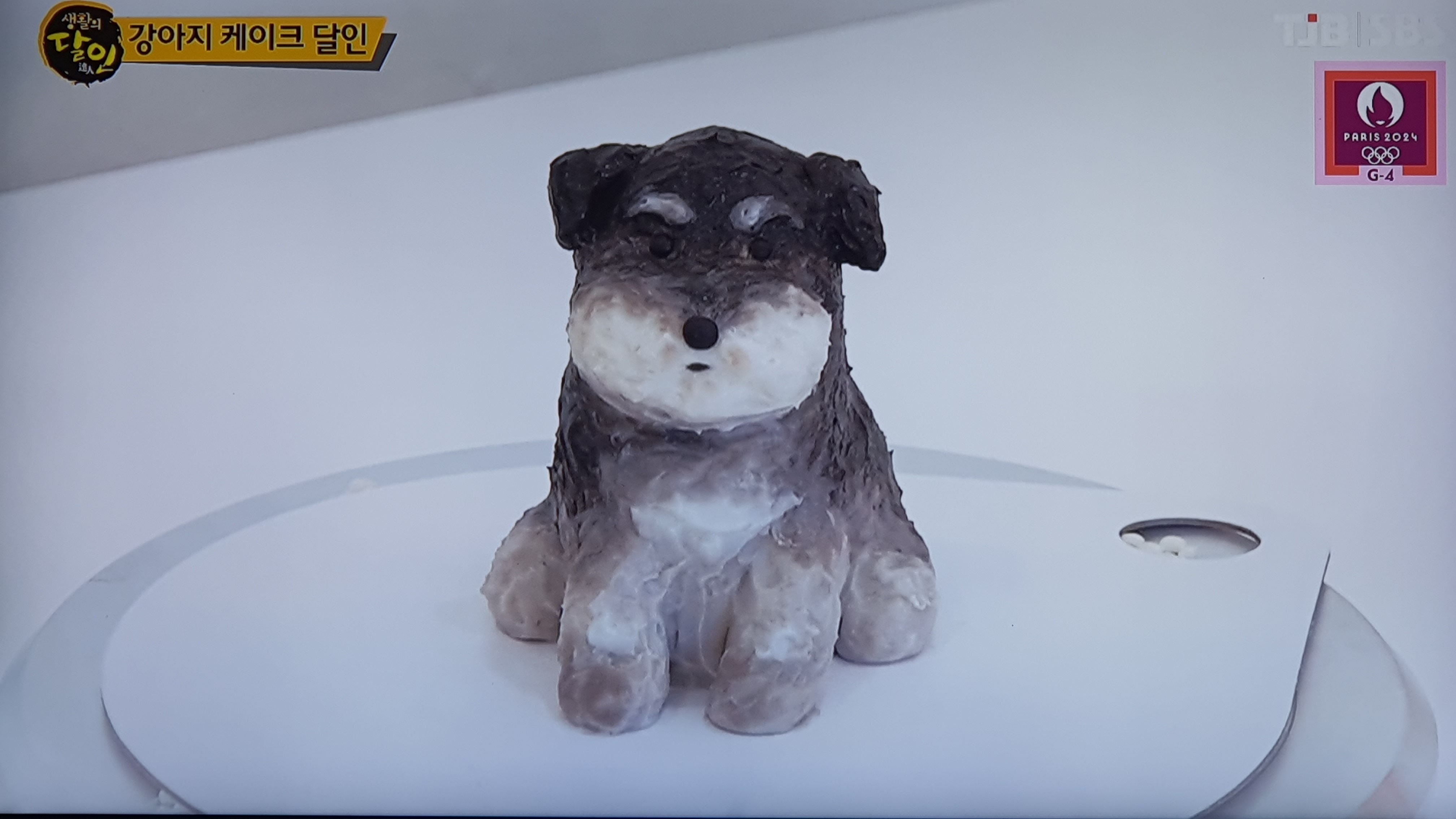 왈테이블 가격 정보