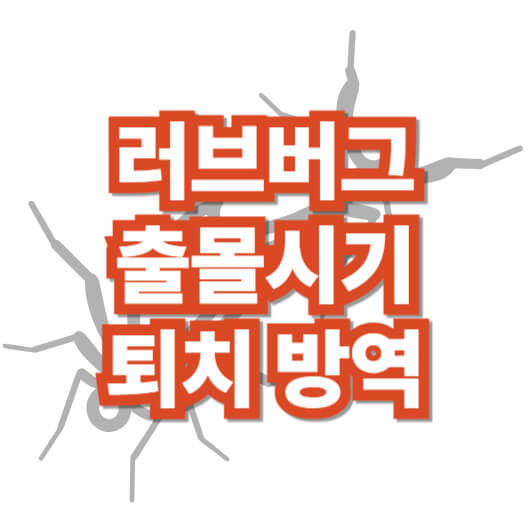 러브-버그-출몰-시기-퇴치-방역