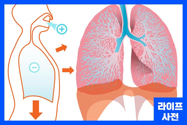 심호흡이나 기침을 할 때 가슴이 콕콕찌르는증상 유발