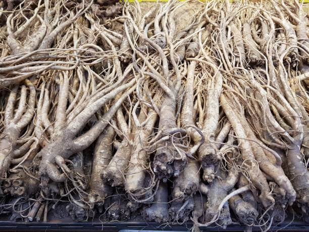 도라지를-재배하여-쌓아둔-모습