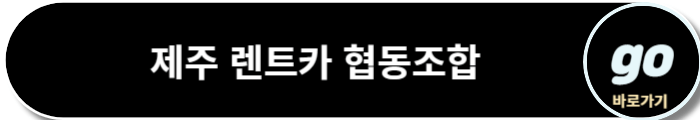 제주 렌터카(렌트카) 비교사이트(업체 추천), 주의사항