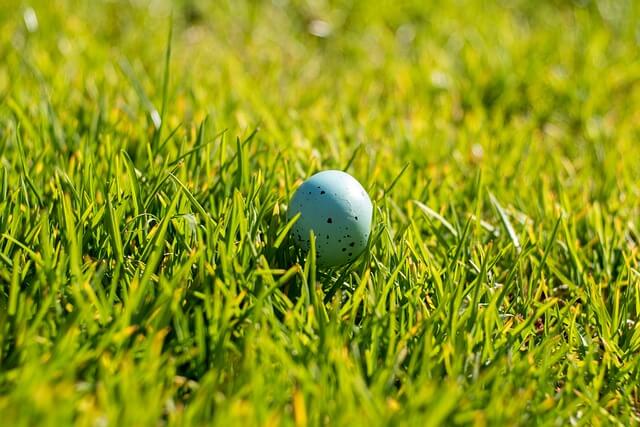 청년전세자금대출과 일반 전세대출 비교