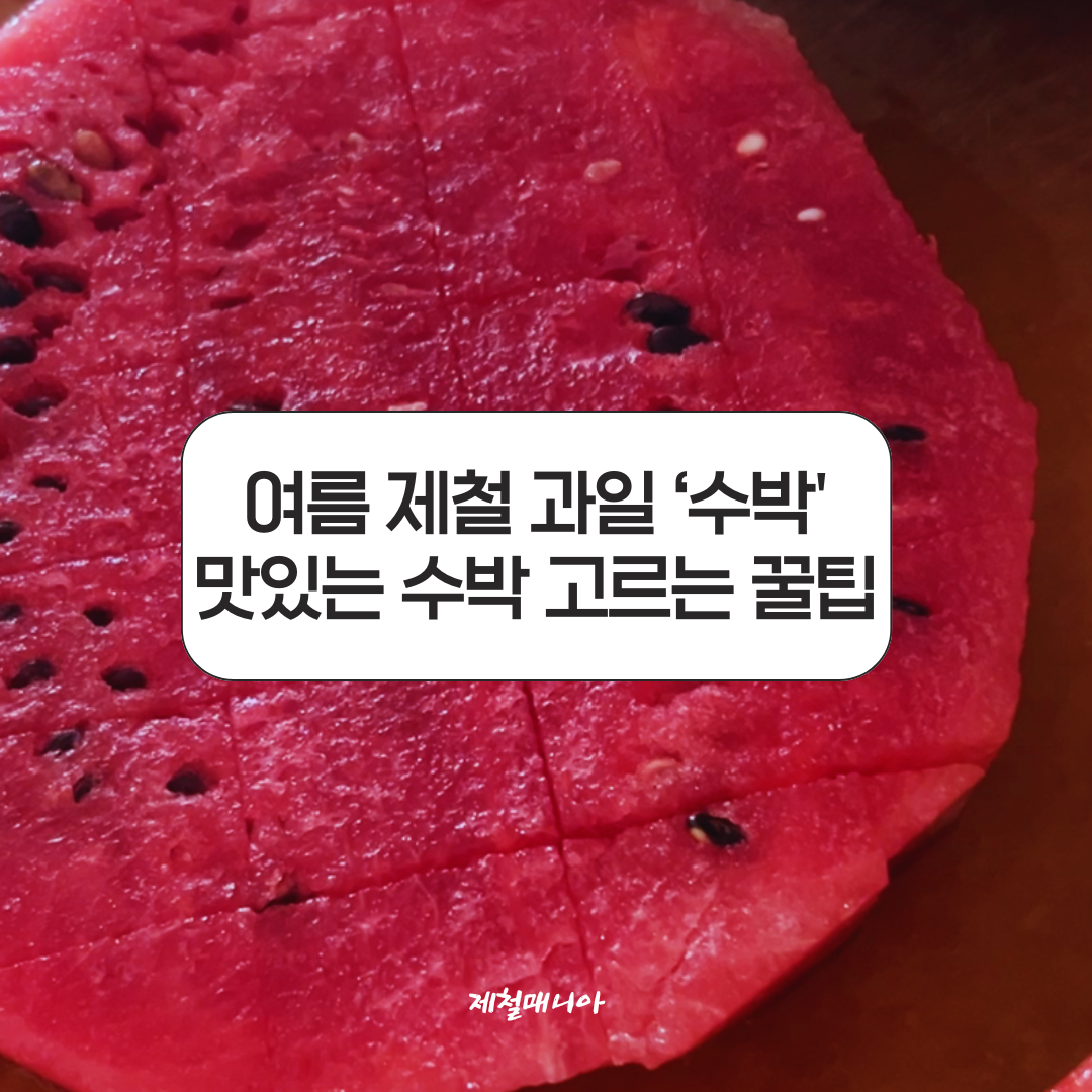 수박화채