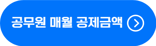 공무원 월급 공제 항목 및 금액 확인 버튼