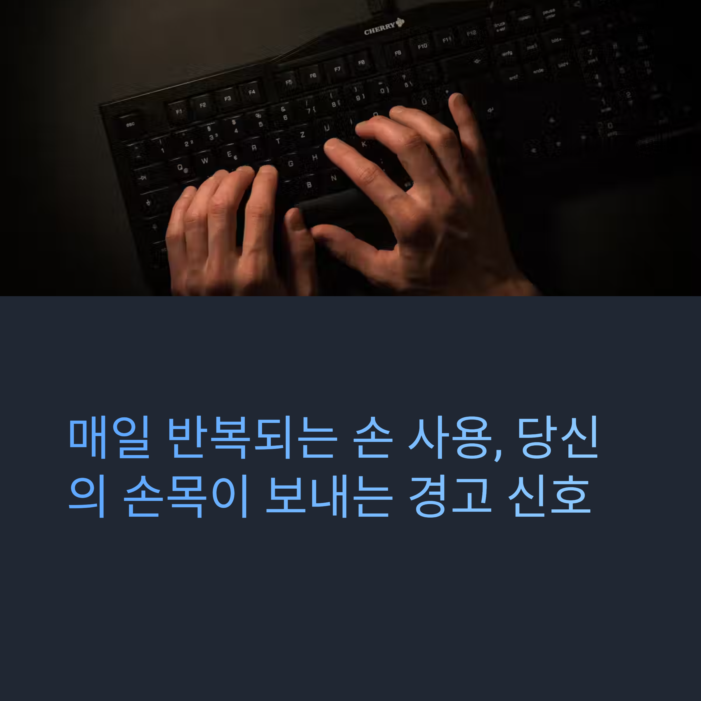 손목 터널 증후군 예방 스트레칭