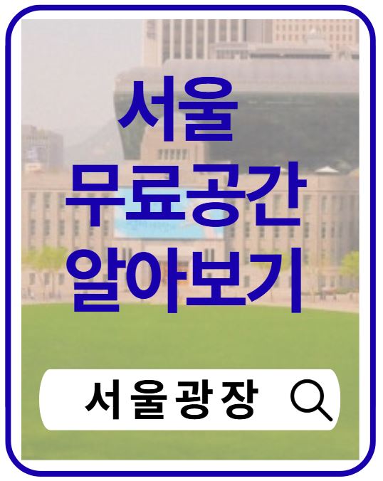 서울광장 가볼만한 곳 총정리|행사·산책·볼거리 완벽 정리
