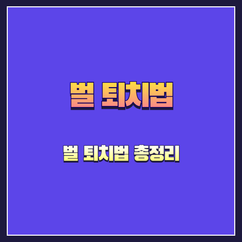 벌에 대한 모든 것: 생태부터 안전한 대처법까지