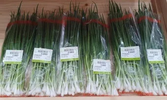 로컬푸드 출하 절차 등급 선별 라벨 위생 기준_15