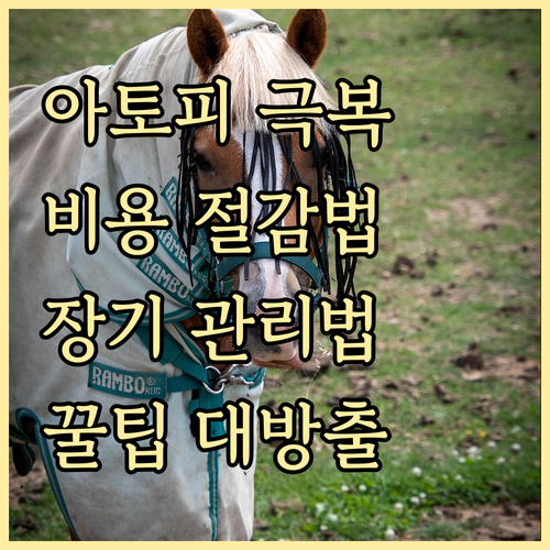 아토피 피부염 극복: 치료 비용 절감..