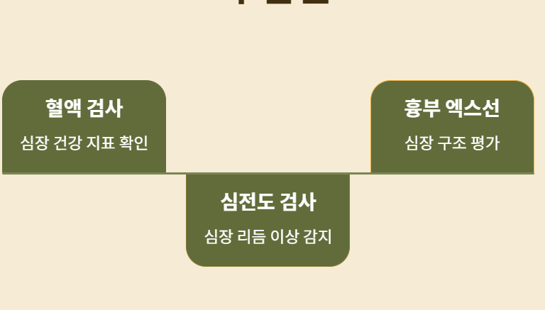 정기 검진의 중요성