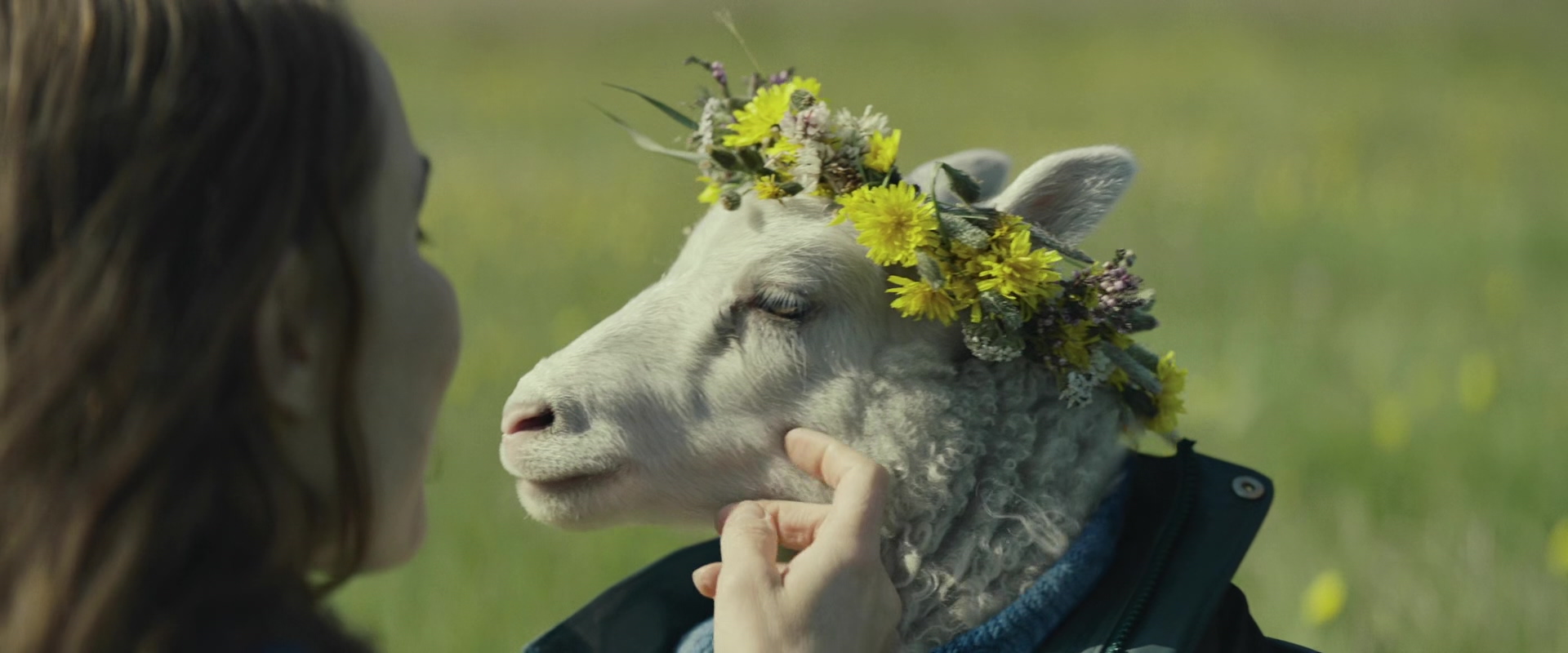Lamb, 2011