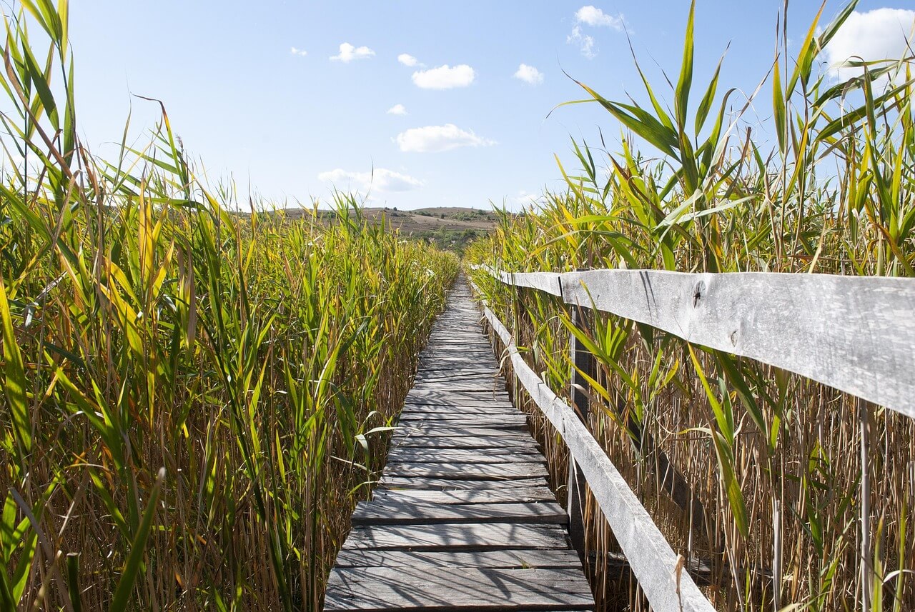 2026년 장애인 일자리 사업 참여자 모집 안내