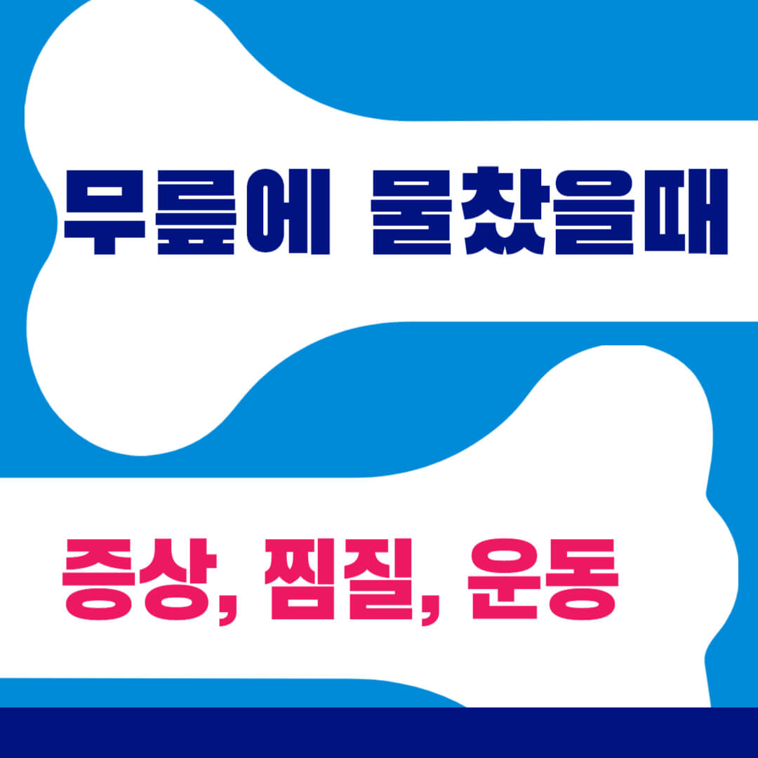 무릎에 물찼을때