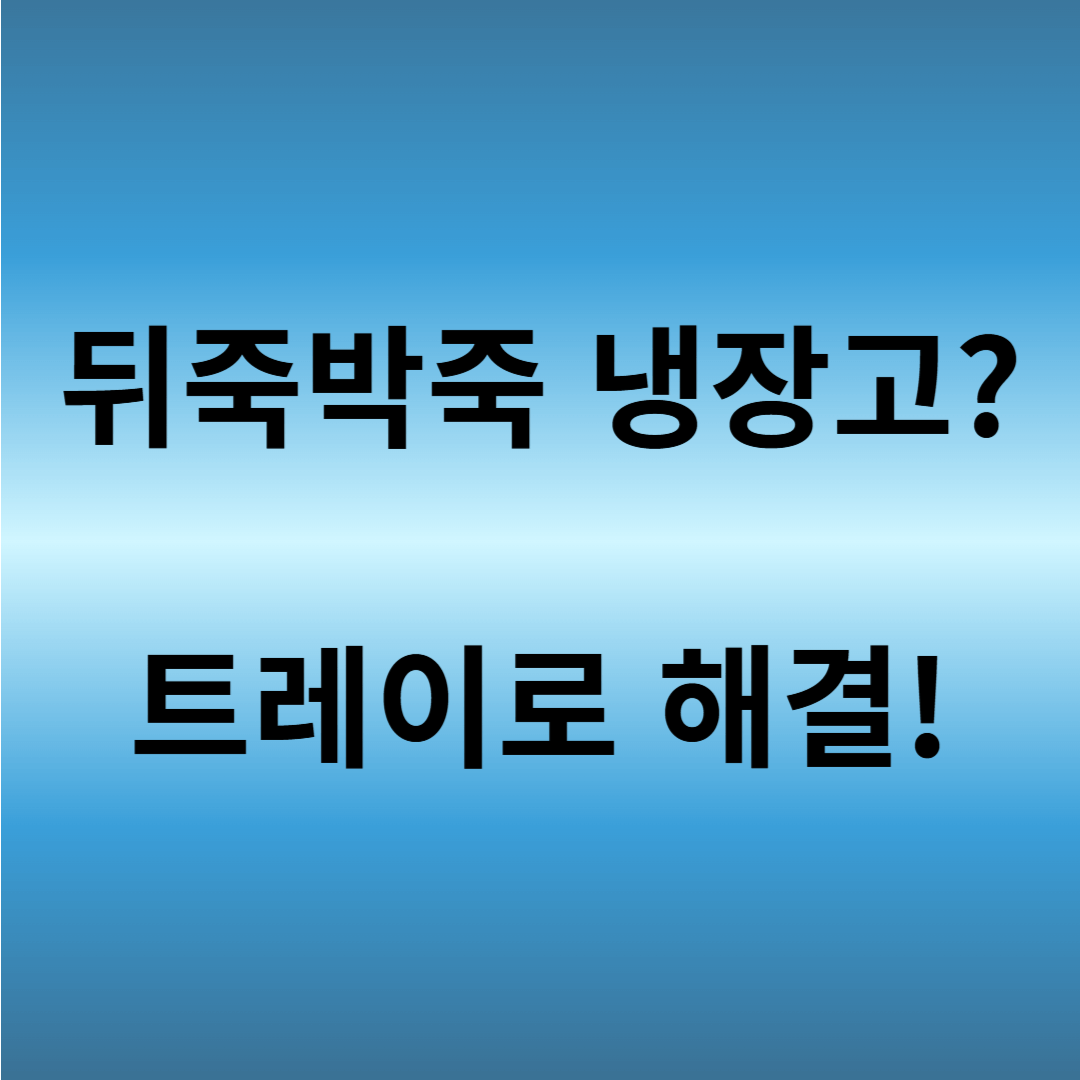 냉장고 정리 트레이