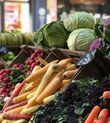 양배추 효능과 부작용 칼로리