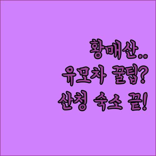 황매산 무장애길 유모차 이동 팁과 산..