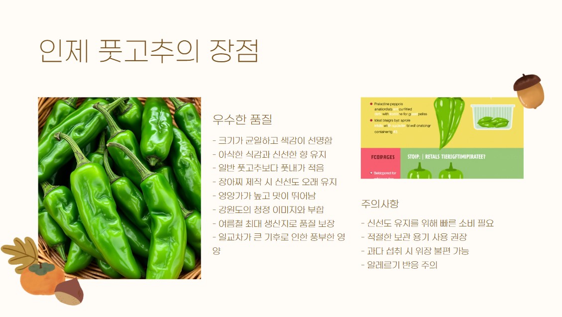 인제 풋고추의 장점