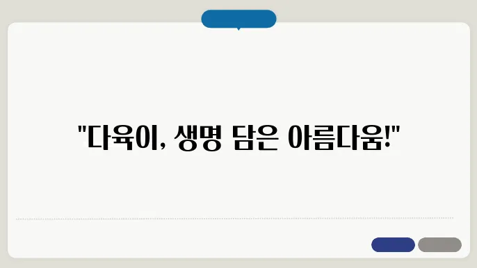 다육이 관리와 관리 요령