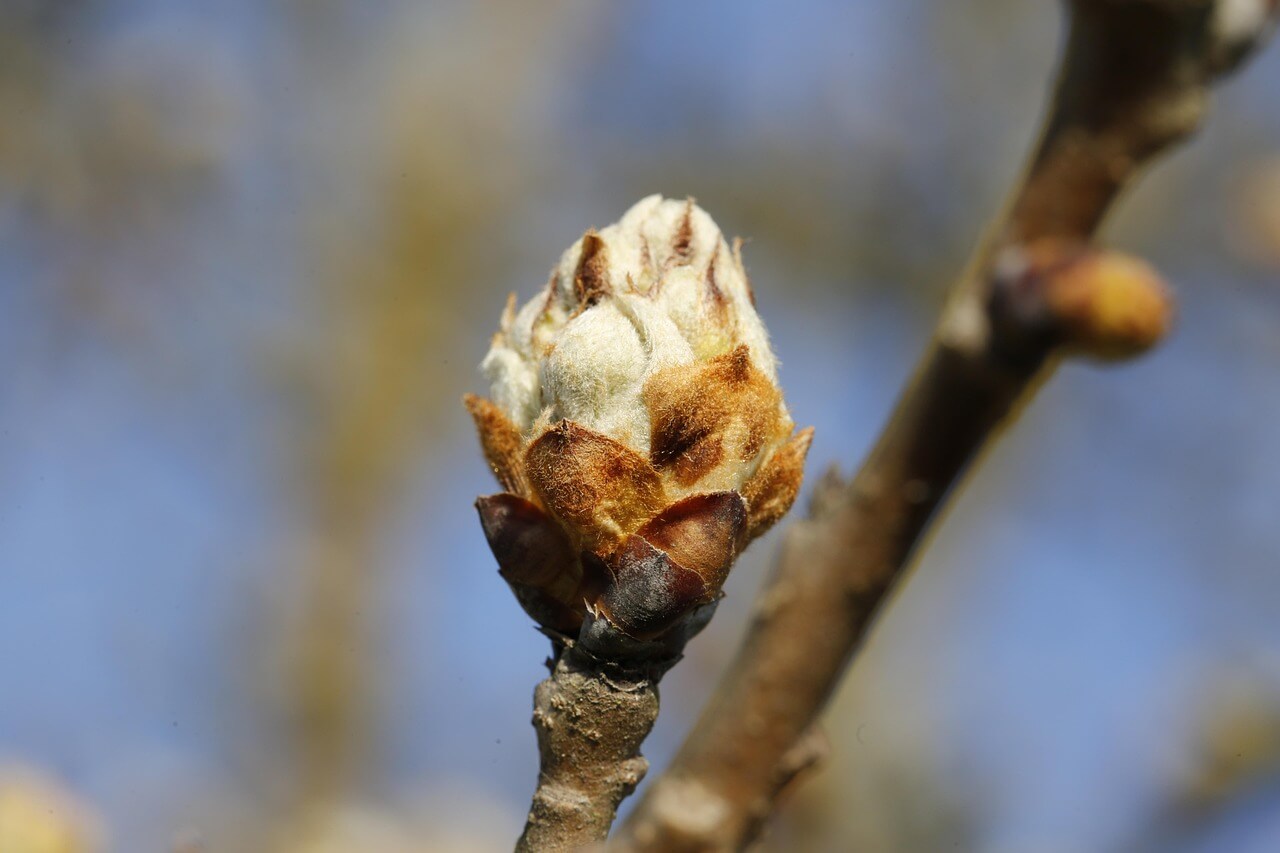 자격증 난이도 순 총정리