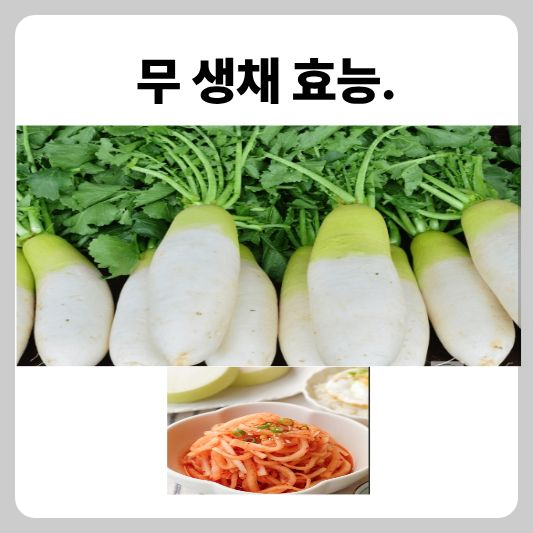 무생채 효능 장 건강 &amp; 변비 예방｜매일 먹는 반찬이 장을 살린다