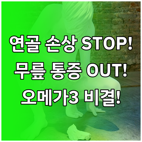 노화에 맞서는 무릎 건강 오메가3와 ..