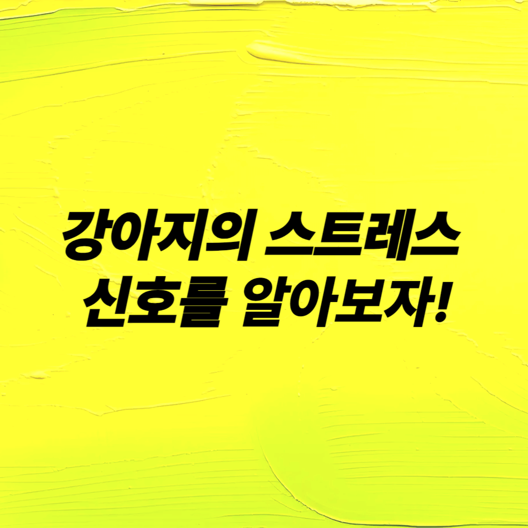 우리 집 강아지가 보내는 신호 해석하기 강아지 행동분석