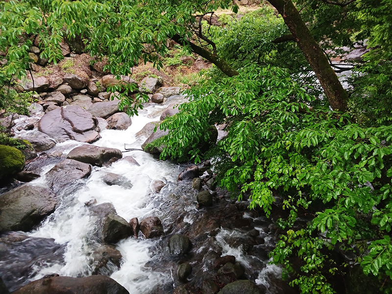 경남 쌍계사 템플스테이 신청 방법