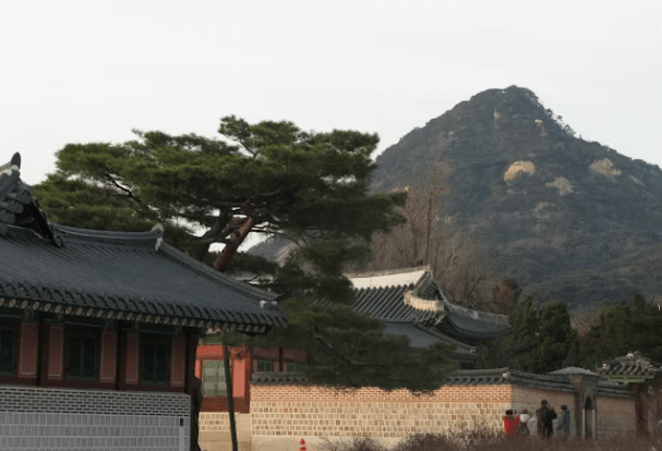 추석 연휴 고궁 무료 개방: 서울 필수 탐방 코스와 숙소 예약 팁