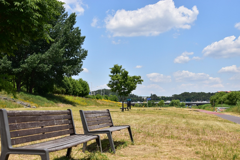 도심속 자연