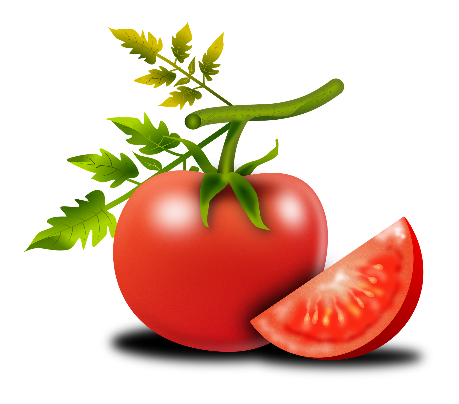 면역력 높이는 음식