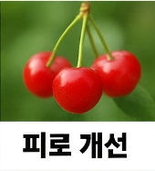 앵두 효능