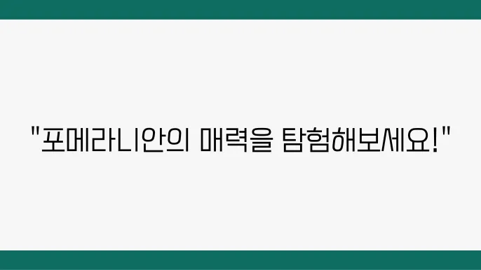 포메라니안의 성격과 행동 특성에 대한 정보