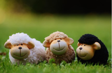 2026 양띠 신년운세 총정리 , 무료운세 사이트